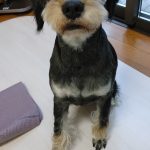 オリ